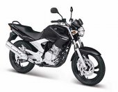 2007 Bajaj Pulsar 180 DTS-i photo